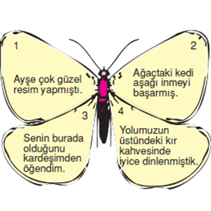 Ses olayları nelerdir? - Ders Kitabı Cevapları ve Çalışma Kitabı Cevapları