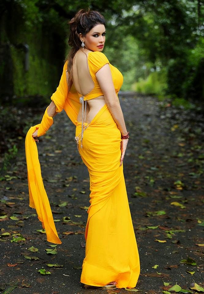 Backless Indian Saree Blouse Style Saree Fashion 