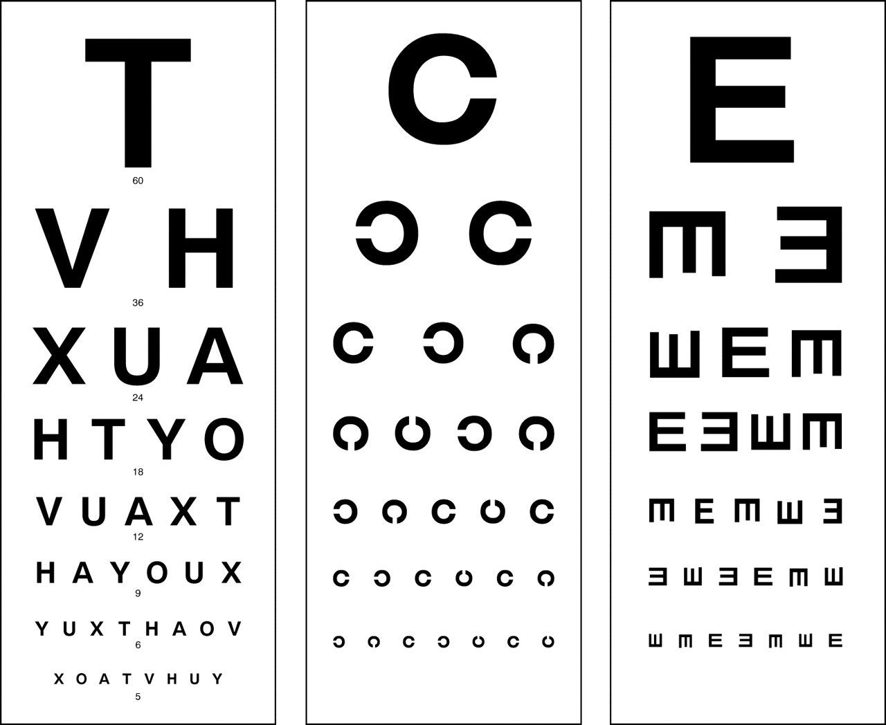 essential steps in patient s eye examination young snellen chart metric