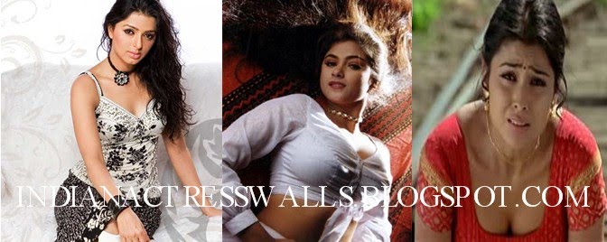 South Indian Celebrities Galleries, Wallpapers, Gossips and News