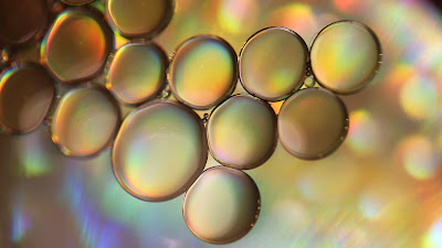 La imagen es una fotografía que representa pequeñas gotitas de aceite flotando en sustancia acuosa. 