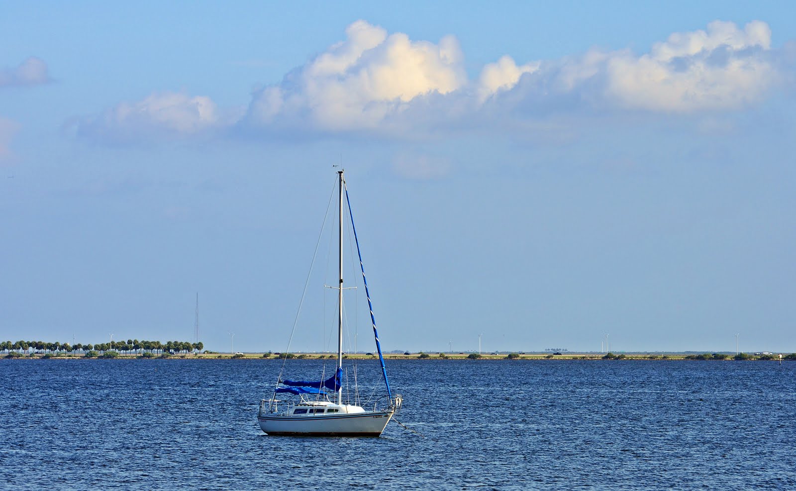 Dina's City Wildlife Adventures Safety Harbor fishing pier Skywatch