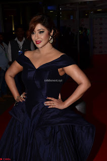Payal Ghosh aka Harika in Dark Blue Deep Neck Sleeveless Gown at 64th Jio Filmfare Awards South 2017 ~  Exclusive 004