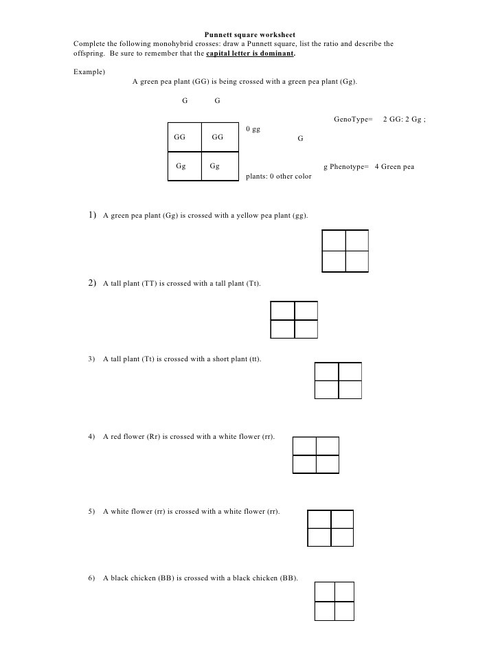 39-blood-type-punnett-square-practice-worksheet-answer-key-worksheet-resource