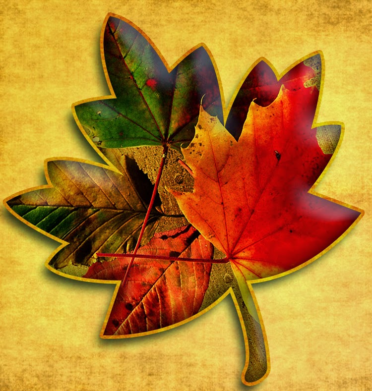 Free Printable Fall Leaves Images