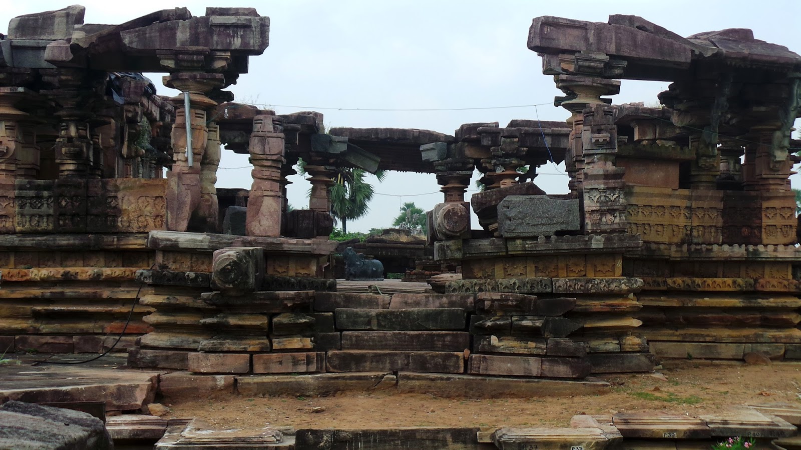 Life Line.Shiva: Kotagullu
