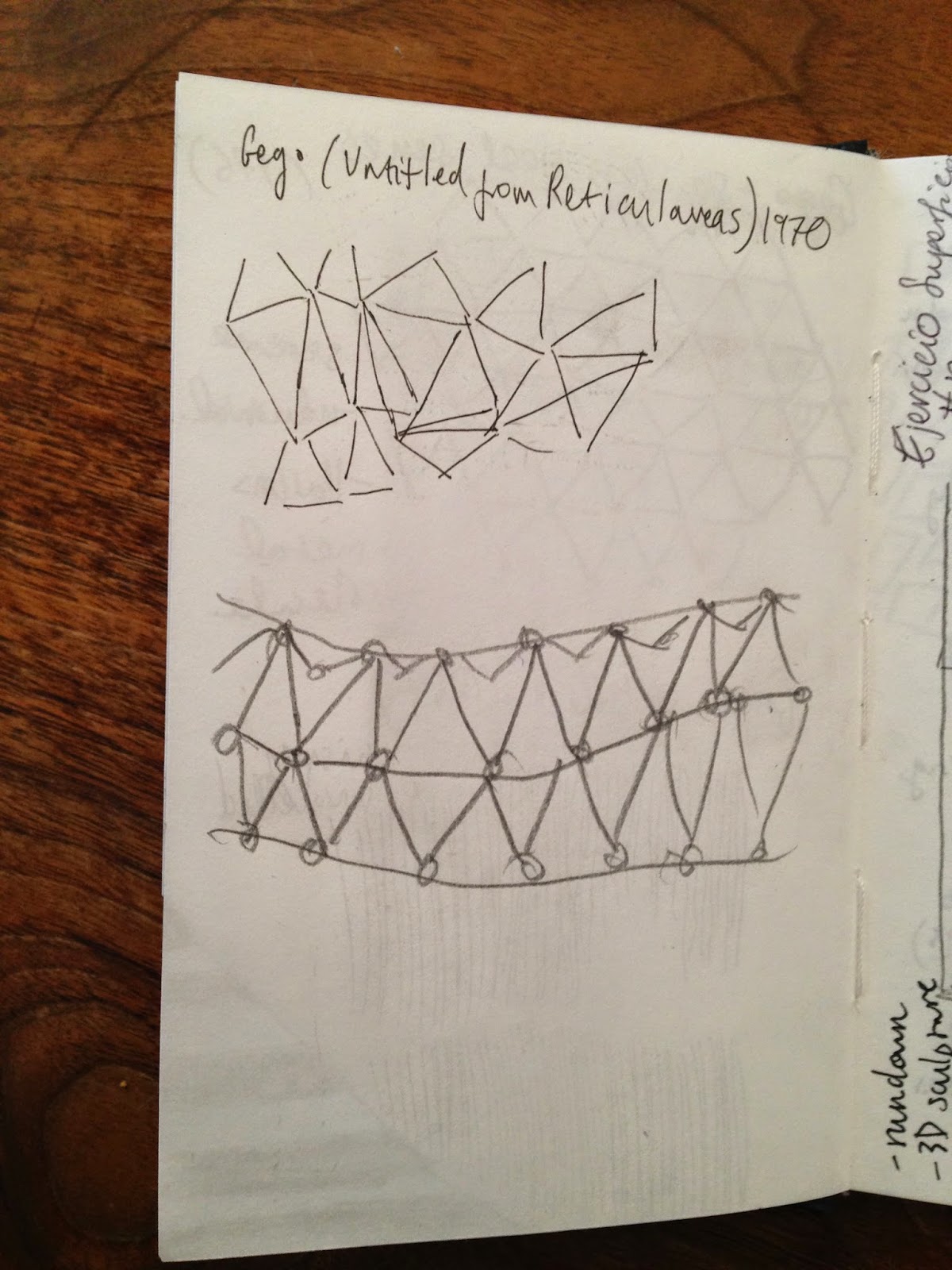 Caroline Wong: 02/09/14 - 'Radical Geometry' at the RA