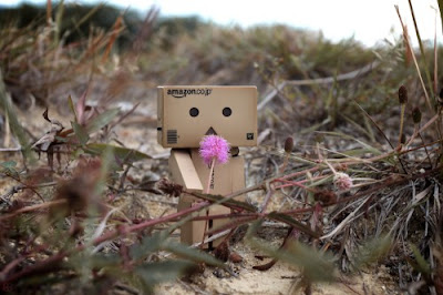 Boneka Danbo Metik Bunga Boneka Danbo Metik Bunga