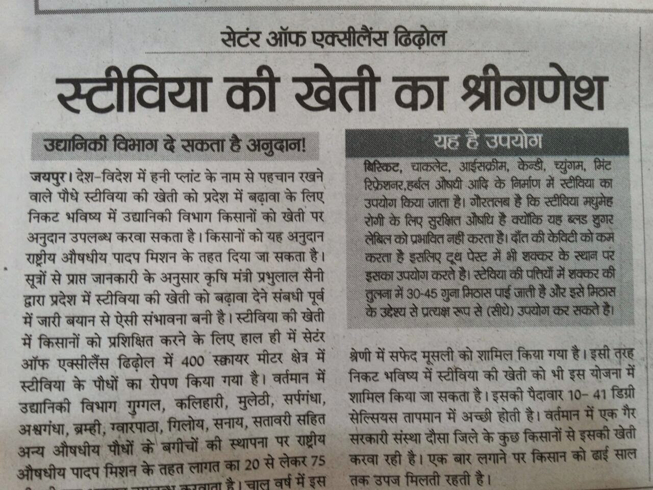 STEVIA CULTIVATION IN INDIA Stevia (natural sugar plant) and Medicinal Plant’s Cultivation