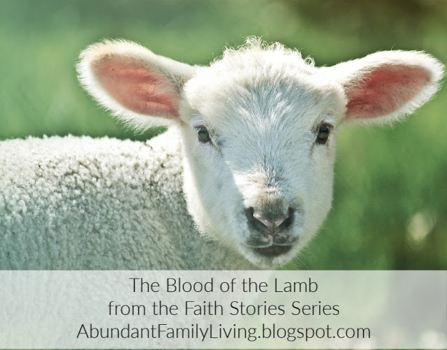 The Faith Stories Series