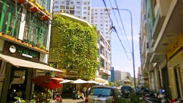 Giải pháp trông cây xanh chống nắng cho nhà phố Giải pháp trông cây xanh chống nắng cho nhà phố