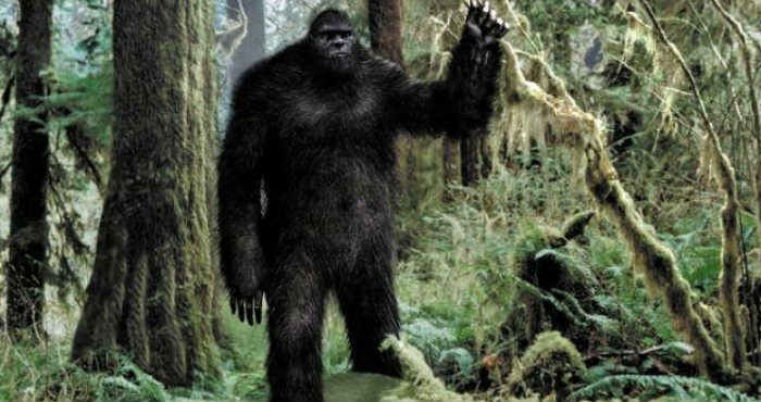 Mengungkap Misteri Makhluk Bigfoot Dan Keberadaannya Mengungkap Misteri Makhluk Bigfoot Dan Keberadaannya