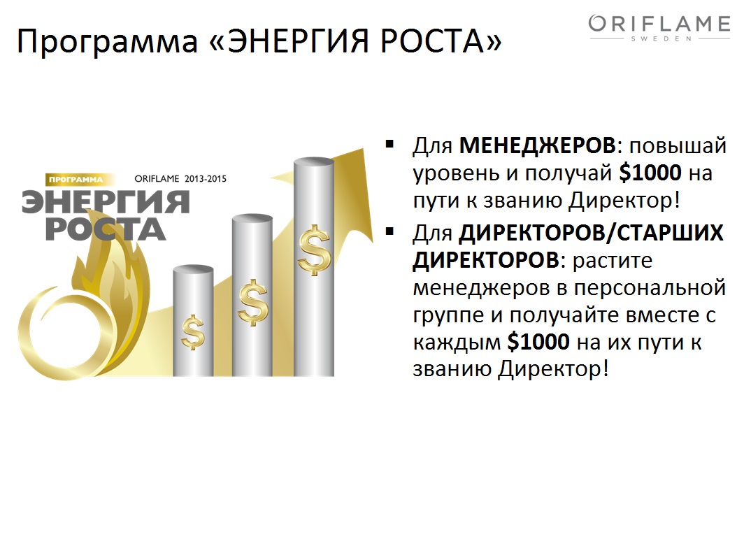 госпрограмма развитие энергетики. ввод новых мощностей. программа роста. изменение энергии гиббса в самопроизвольных процессах. ввод мощностей.