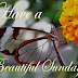 TOP 10 Good Morning images, greetings, pictures for whatsapp - bestwishespics