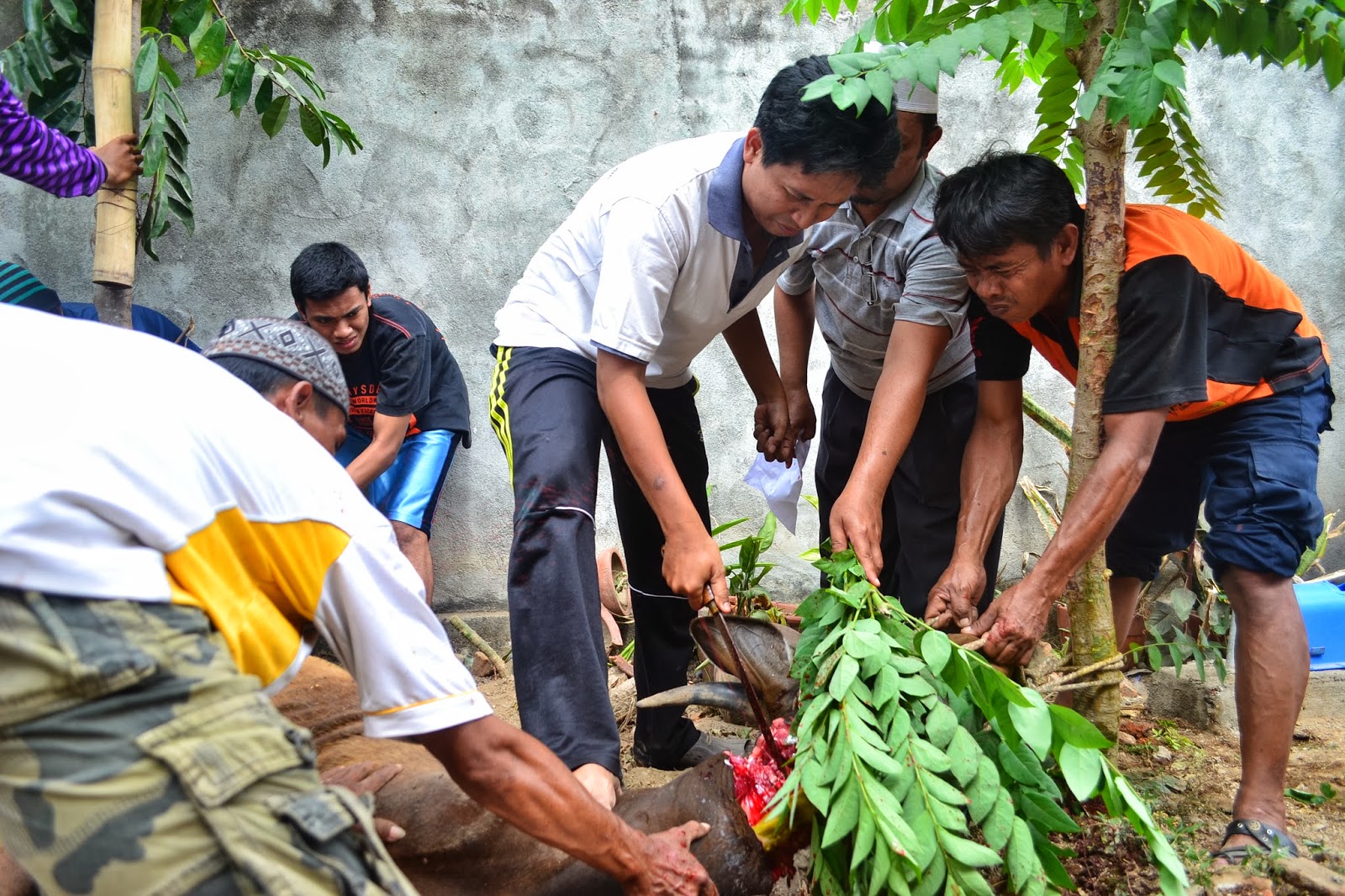 Makna Qurban dan Peduli Kepada Sesama ~ Akhmad Fadli, ST