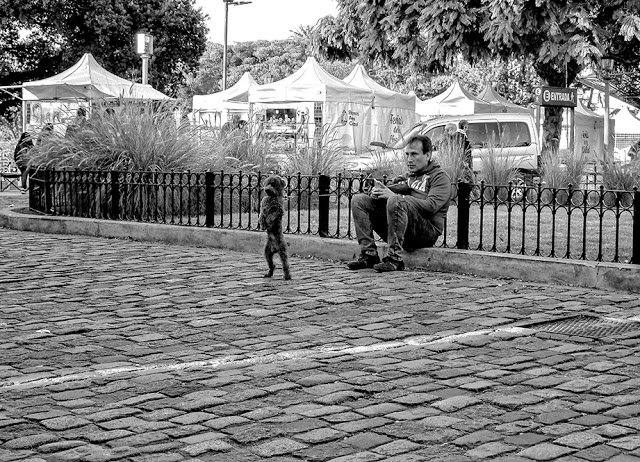 De pie Un hombre sentado y su perrito parado en dos patas.