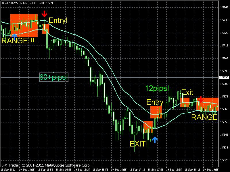 Forex 100 pips a day system