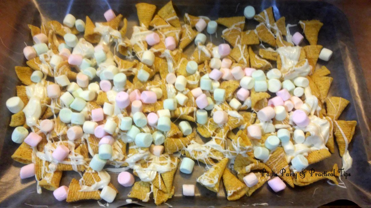 Pams Party & Practical Tips