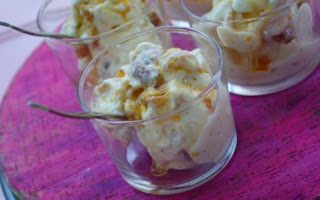 Recelli Donmuş Yogurt Recelli Donmuş Yogurt