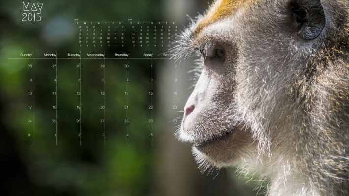 Wallpaper: 2015 Calendar: May