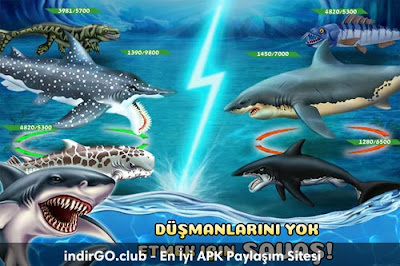 Shark World MOD APK Shark World MOD APK