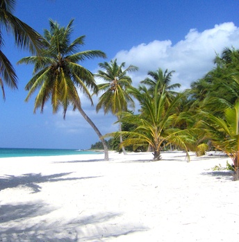 Partnervermittlung dominikanische republik caribe