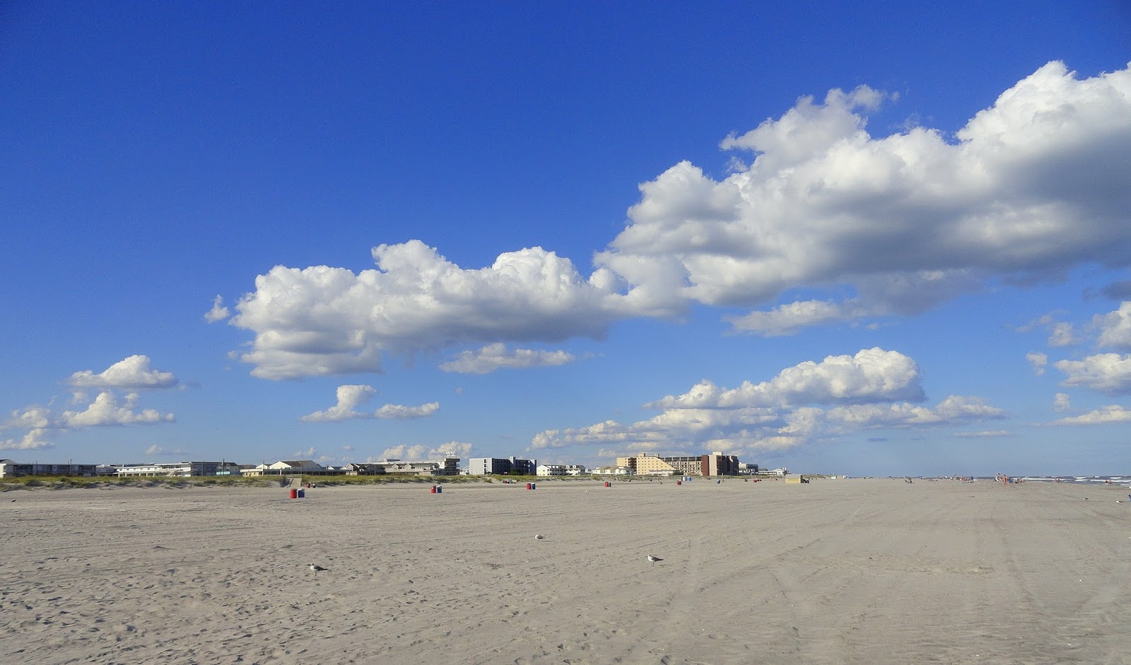 Wildwood Weather A Pleasant Day Down The Shore