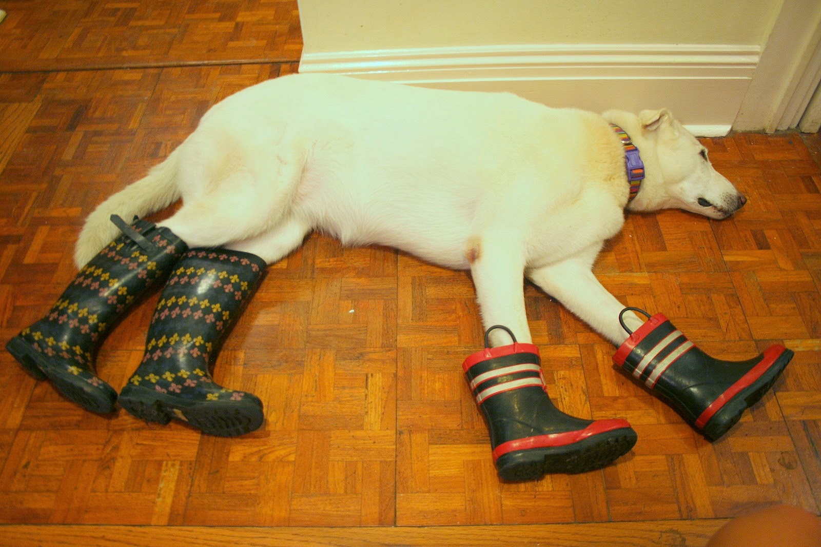 Pettengill Farm Take 2 Preppy Empty Nester F