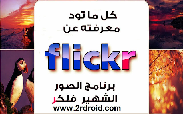 تحميل و شرح كيفية استخدام موقع و تطبيق Flickr