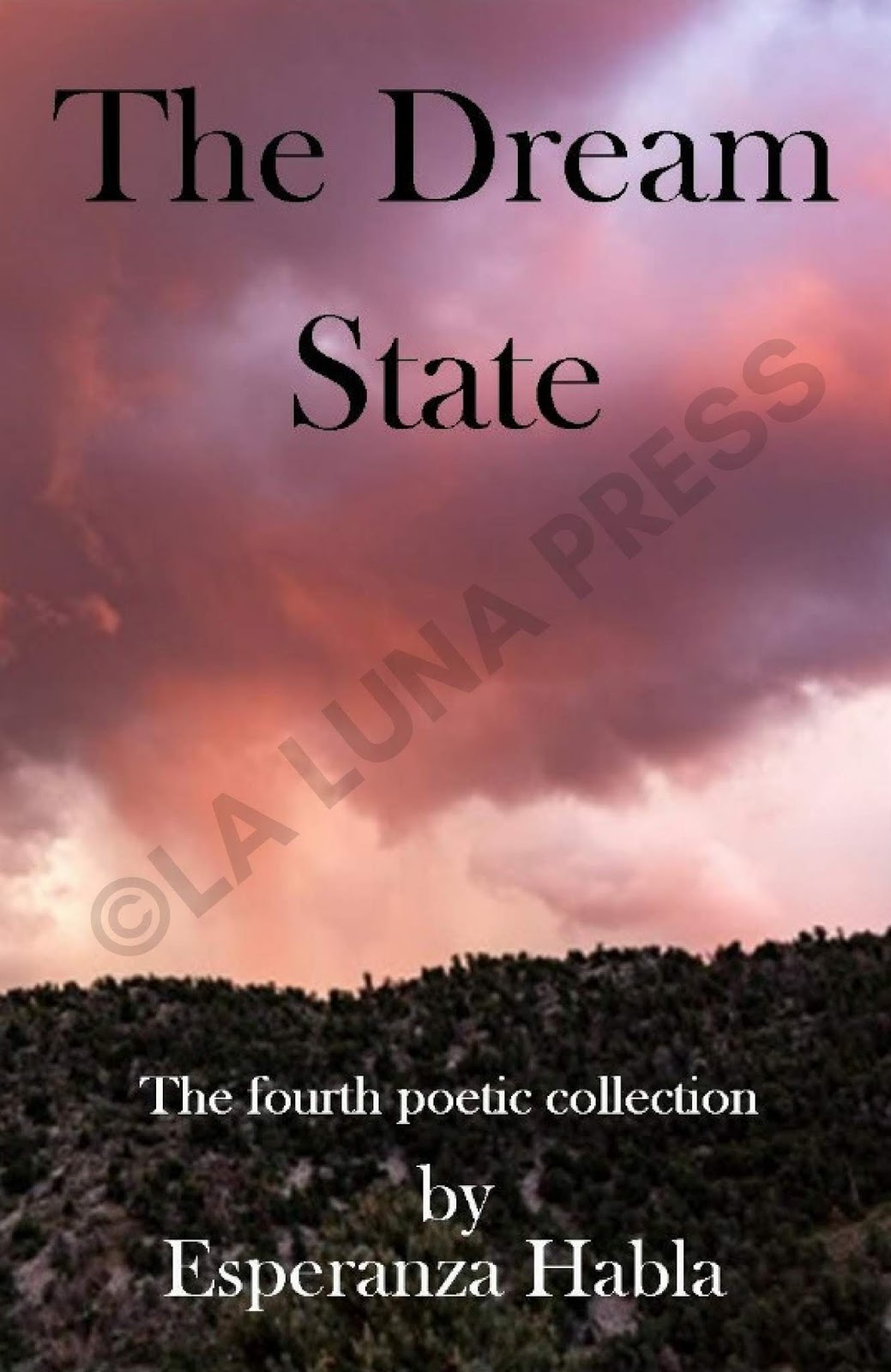 hello everyone it is my distinct honor and pleasure to inform you that my latest book the dream state the fourth poetic collection has been published hello everyone it is my distinct honor and pleasure to inform you that my latest book the dream state the fourth poetic collection has been published