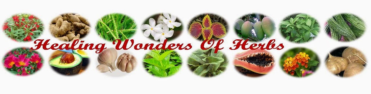 Healing Wonders Of Herbs