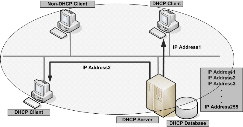 Служба dhcp dhcp сервер. Dhcp сервер. служба dhcp. dhcp схема. как работает dhcp.
