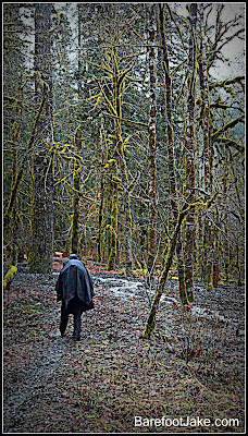 elwha trail
