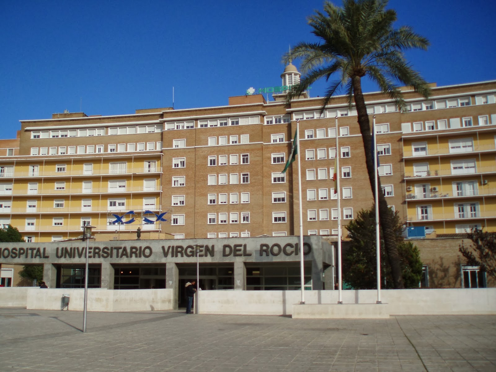 Mi diabetes y mi páncreas. El