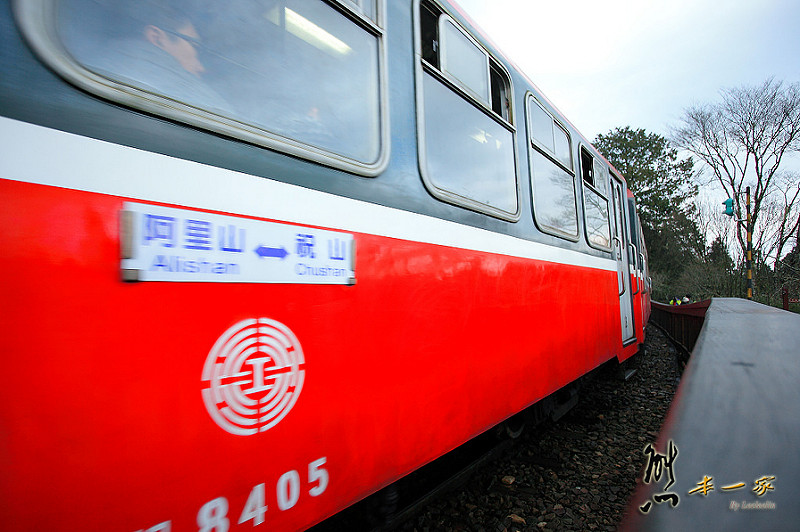 沼平車站|沼平公園櫻花季|嘉義阿里山國家森林遊樂區景點|阿里山櫻花季
