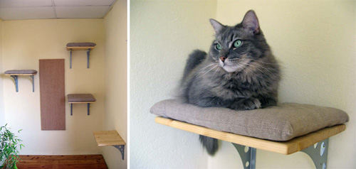 http://www.hauspanther.com/2012/12/19/evas-custom-cat-shelves-with-cushions-and-sisal-scratcher/