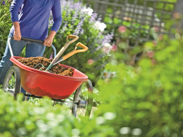 Garden%2Bbarrow%2Band%2Bshovel.jpeg