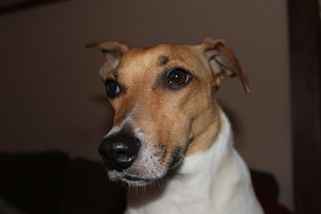 Skotlanti - Glasgow 42 Skotlanti - Glasgow 41