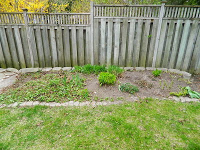 Garden cleanup Graydon after by Paul Jung Gardening Services Toronto