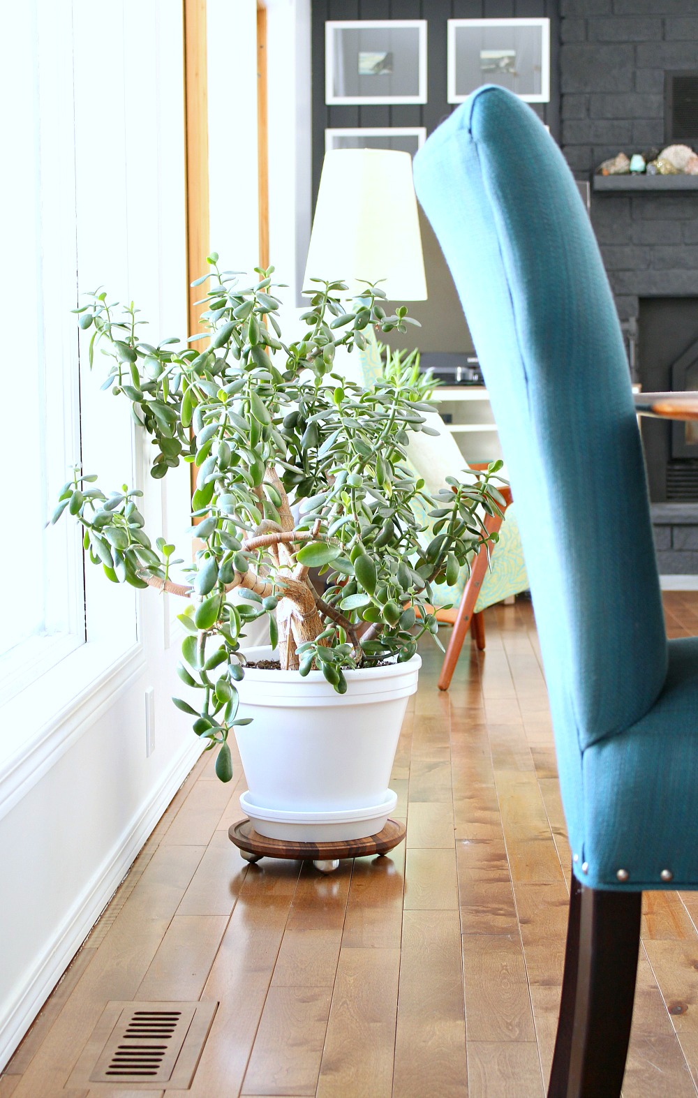 Easy Walnut DIY Plant Dolly Dans le Lakehouse