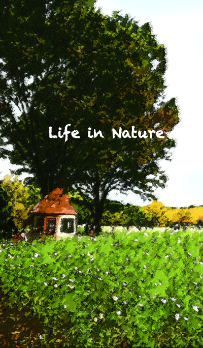 Life in Nature