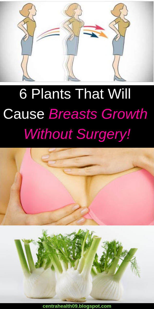 6 Plants That Will Cause Breasts Growth Without Surgery!