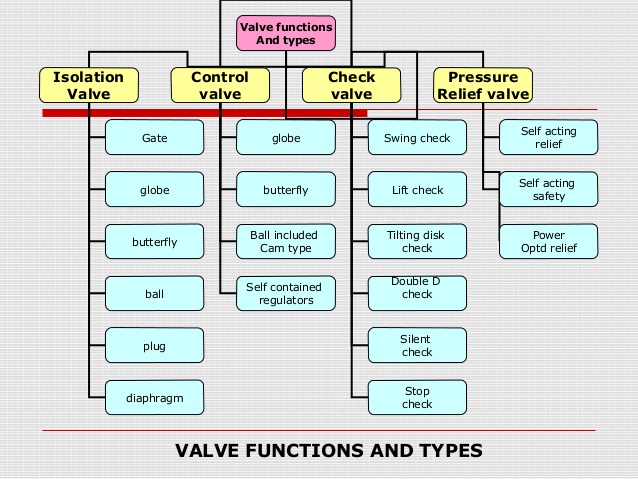 Grant function type. Muscle function. Argument of a function. Functional expression. Организационная структура valve.