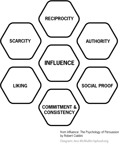 Possibly Influence Theridion: Influence