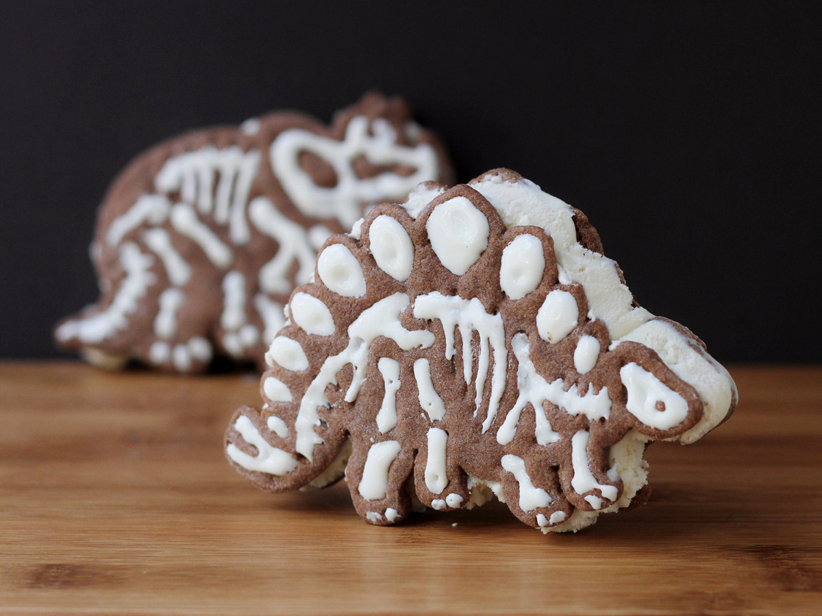 Cookistry's Kitchen Gadget and Food Reviews Dig Ins Dinosaur Cookie Cutters