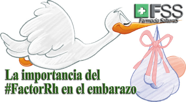 El factor Rh en el embarazo