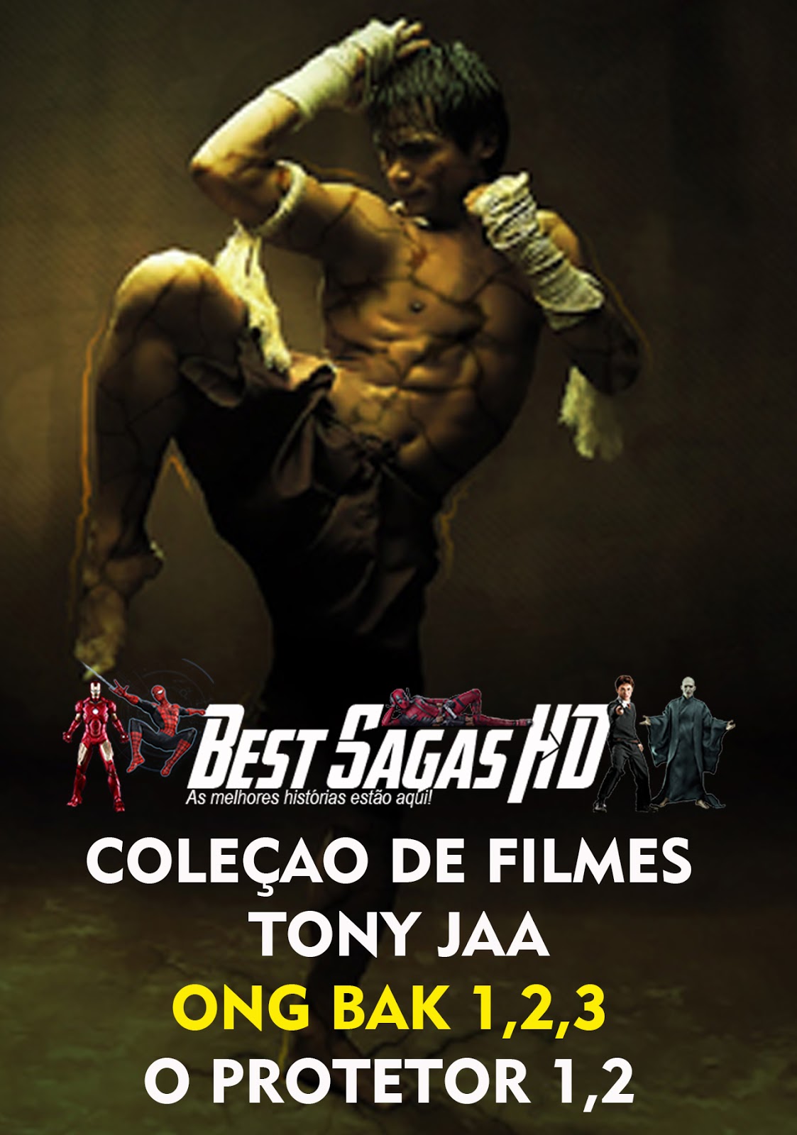 COLEÇÃO DE FILMES TONY JAA (Ong bak, O protetor)