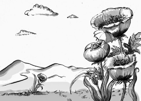 © Angela Kommoß Kinderbuchillustration, Mohnblumen,