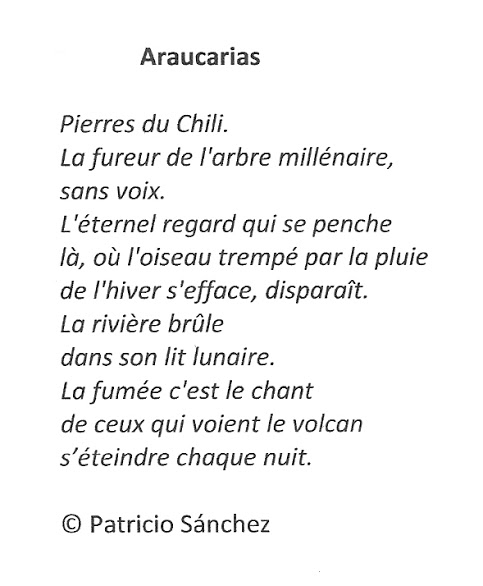 ARAUCARIAS - Patricio SANCHEZ ROJAS, FRANCE.