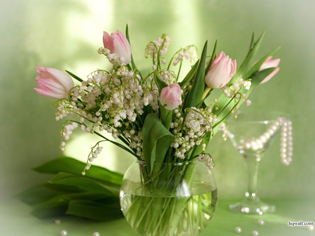 Iphone resolutions Free Beautiful Flower Desktop Wallpaper, Flower Desktop Wallpapers